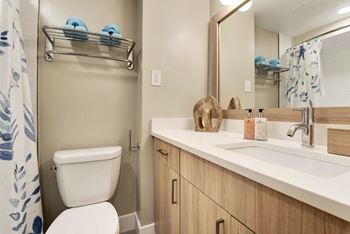Sleek Bathroom Finishes at Crystal Square, Arlington